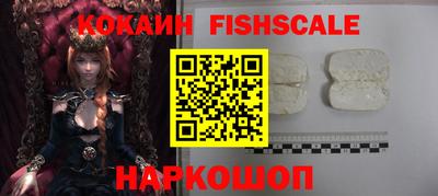 a pvp Камышлов