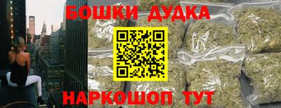 a pvp Камышлов
