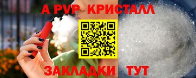 a pvp Камышлов