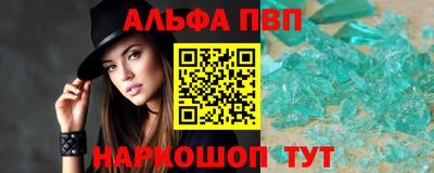 a pvp Камышлов