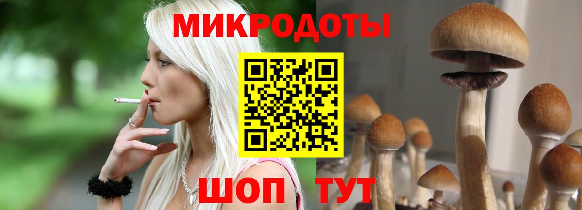 Галлюциногенные грибы Psilocybe Кудрово